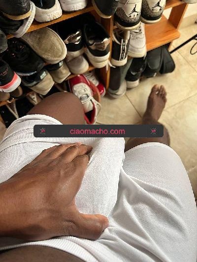 NOVITA ASSOLUTA BELLO TORO 🇧🇷BRASI...